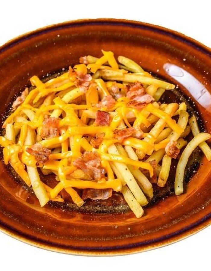 imgi_45_french-fries-with-melted-cheddar-cheese-bacon-served-rustic-plate-isolated-white-background_89816-46007